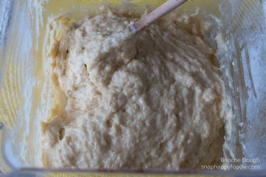 Yummy Experiment #26.0: Brioche dough