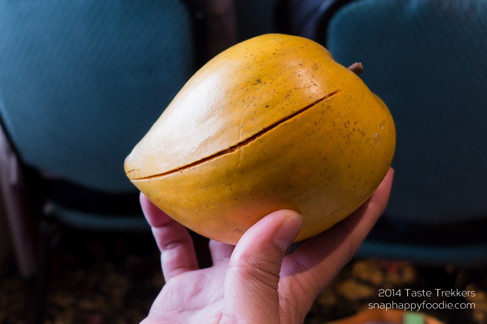 Canastra or Egg Fruit