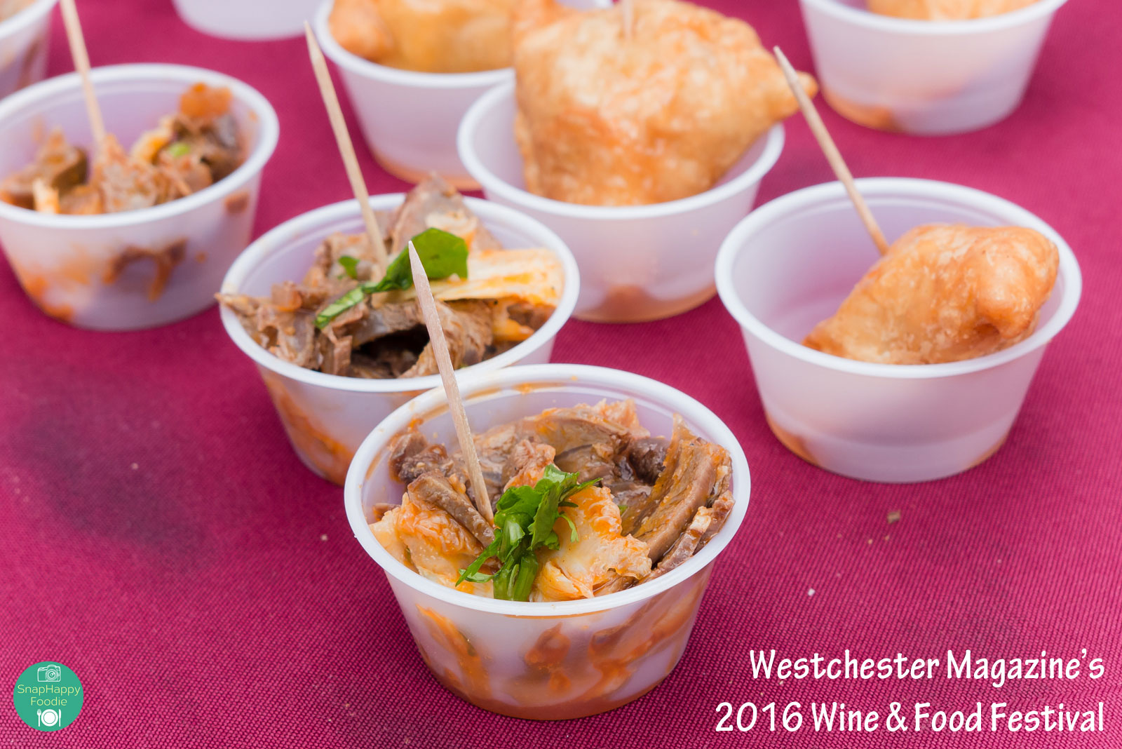 2016westchestermagwinefoodfest-18